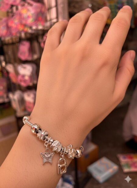 Stainless steel pandora bracelet